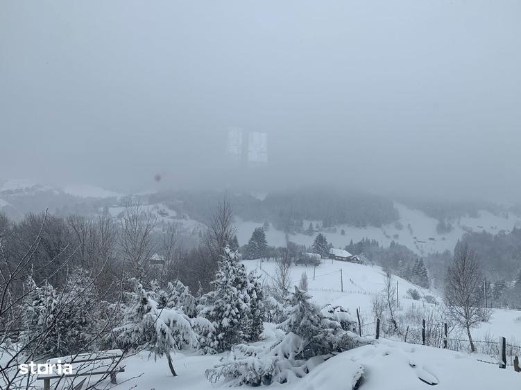 Teren de 1000 mp, în Fundata