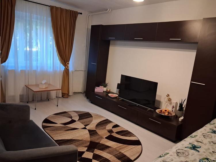 Garsonieră semidecomandată în Rovine