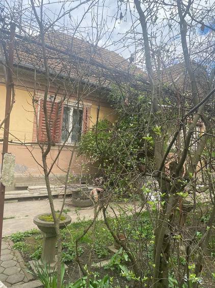 Casă în Viișoara