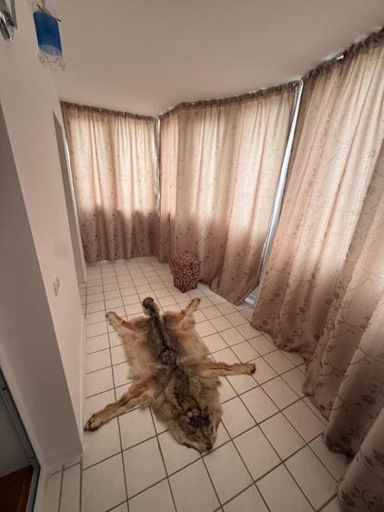 Casă cu 7 camere cu Teren 1267 Mp în Cioranii de Jos