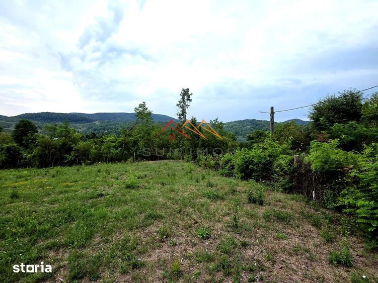 Teren de 2600 mp, în Provița de Jos