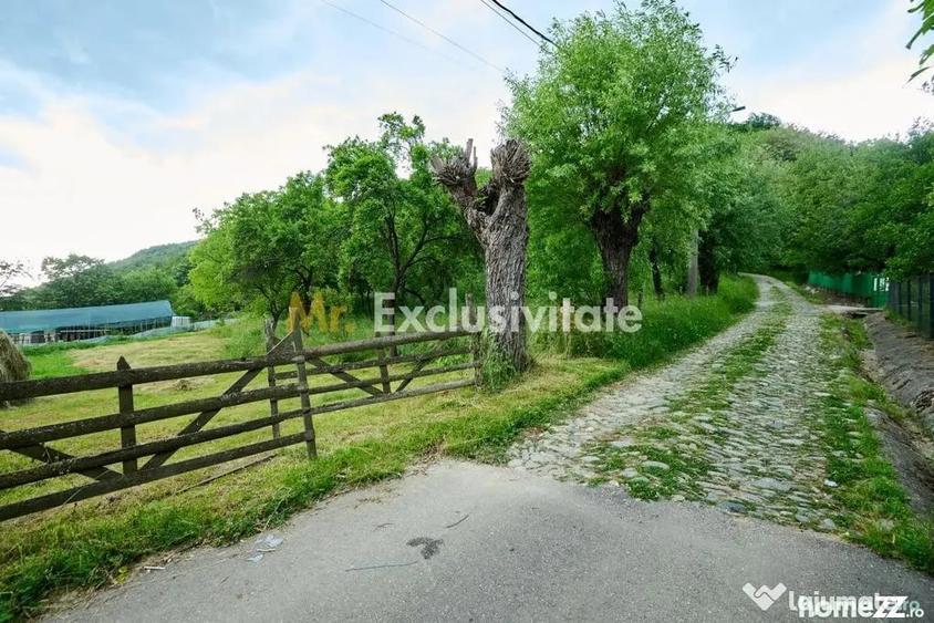 Casă cu 3 camere cu Teren 4696 Mp în Central