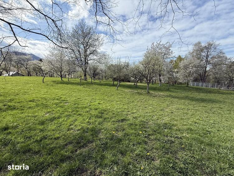 Teren intravilan 1355 mp in zona Bran, judetul Brasov - 11