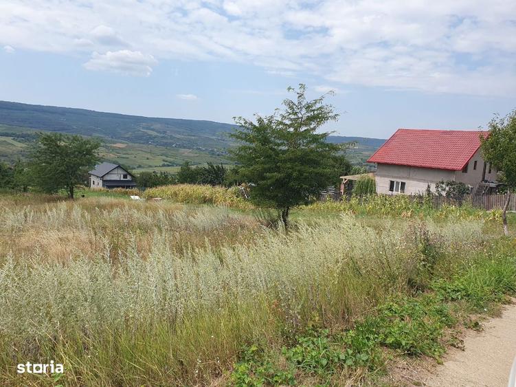 Teren Chicirea (Tomesti) 1.219 mp, 20 euro/mp ( 25.000 ) - 5
