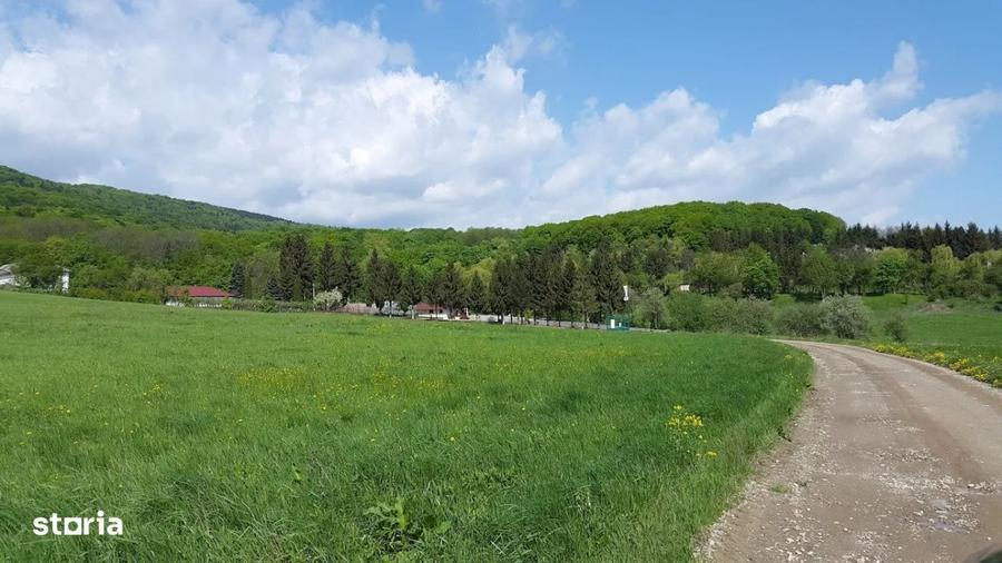 Teren 2300+1600 mp cu deschidere 16 m, Negresti, Jud. Neamt - 1