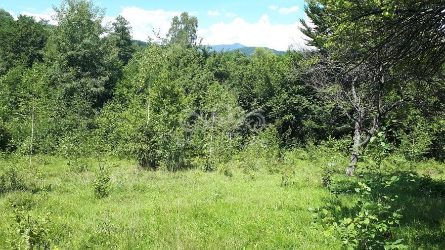 Teren Construcții extravilan de 5000 mp, în Câmpulung Muscel