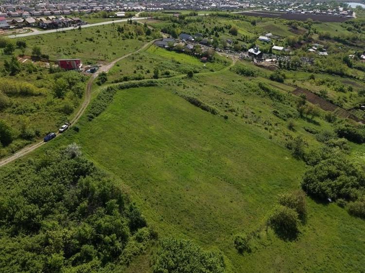 Teren Construcții intravilan de 8000 mp, în Ciurbești