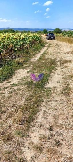 Teren agricol extravilan de 900 mp, în Poplaca
