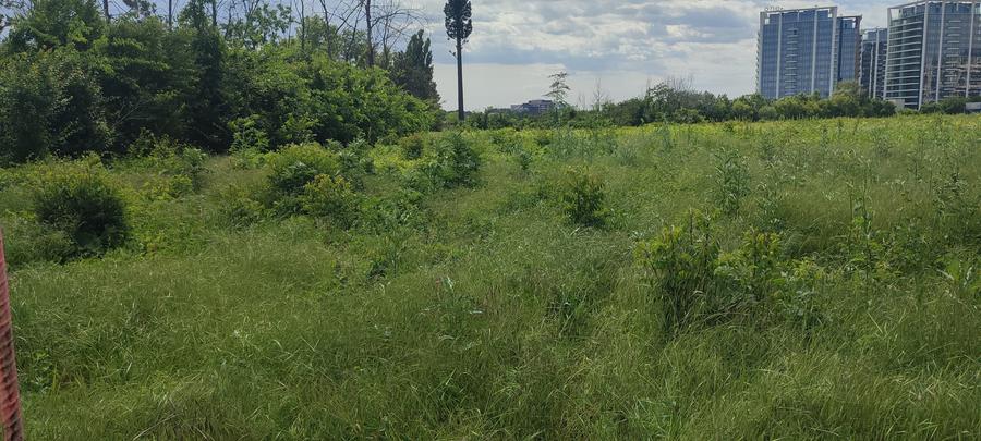 Teren Construcții intravilan de 1000 mp, în Lacul Tei