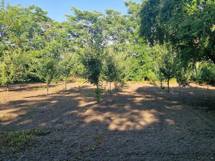 Casă în Bogdana