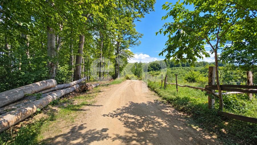 Teren agricol extravilan de 4000 mp, în Poiana Mărului