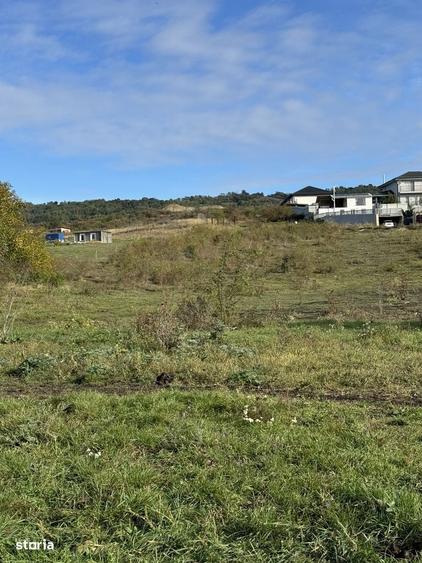 Teren Colonia Valea Fanatelor - 1