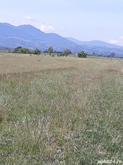 Teren de 8600 mp, în Central