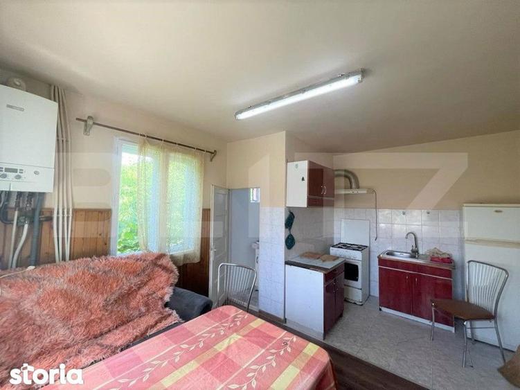 Casa individuala, 140 mp, curte, parcare, zona Eremia Grigorescu - 10