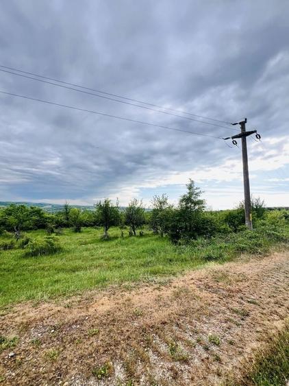 Spațiu comercial, în Central