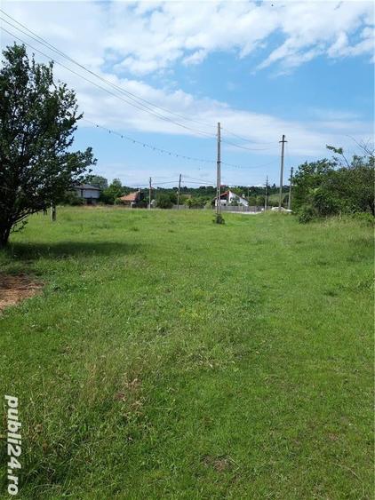 Teren de 11438 mp, în Hințești