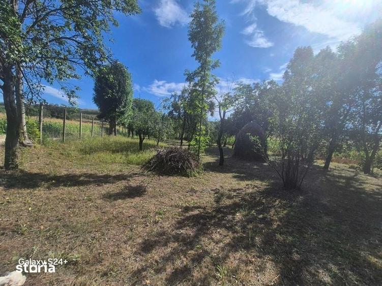 Teren de 1875 mp, în Galda de Jos