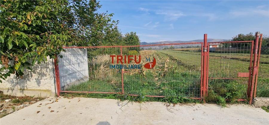 Teren Construcții intravilan de 4094 mp, în Mihalț