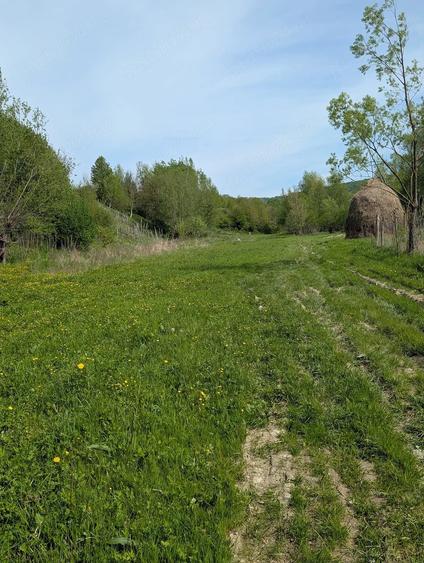 Teren de 14200 mp, în Podiș