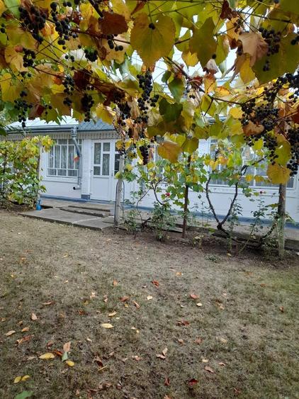 Casă cu 4 camere în Stăuceni