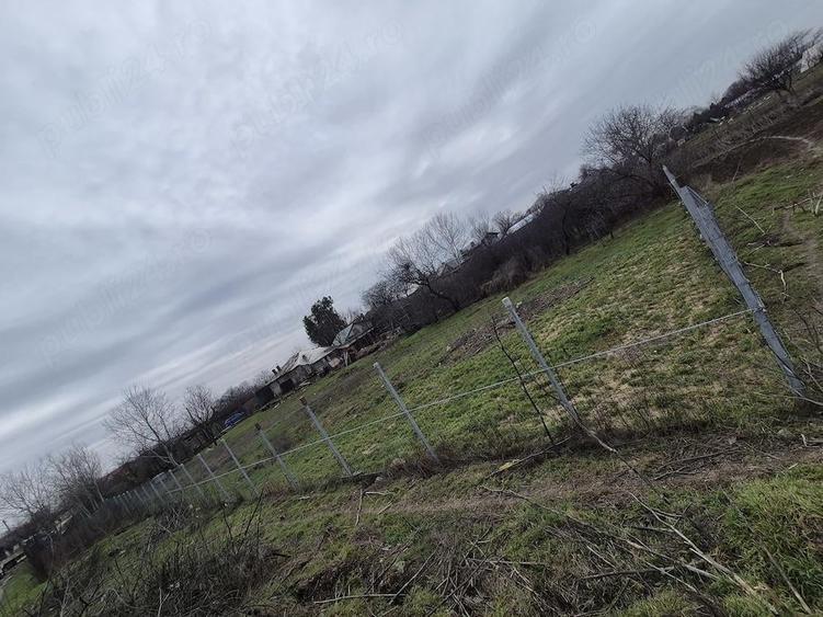 Teren de 1486 mp, în Pruni