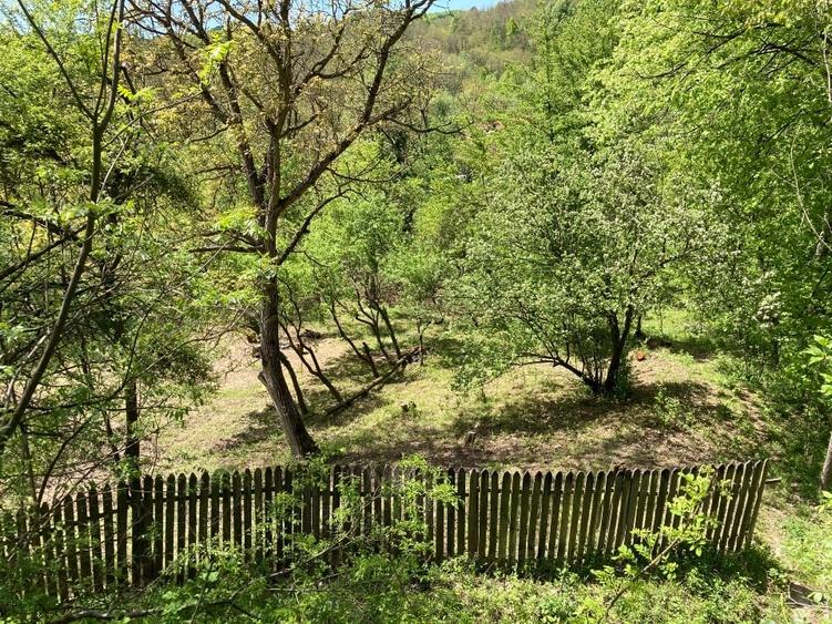 Teren Construcții intravilan de 2500 mp, în Prajila