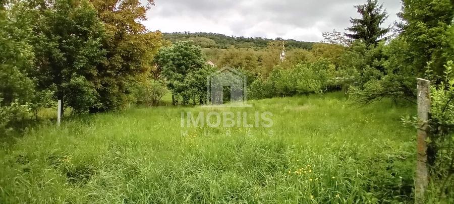 Teren Construcții intravilan de 994 mp, în Budiu Mic
