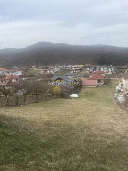Teren intravilan 1142mp, construcție duplexuri, case, zona Vivo