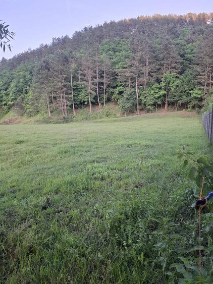 Teren de 3000 mp, în Luna
