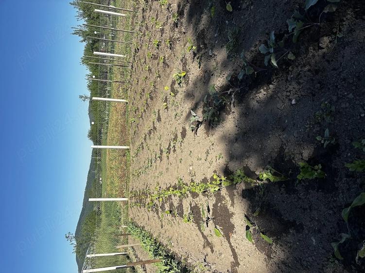 Casă cu 3 camere cu Teren 30 Mp în Salatiu
