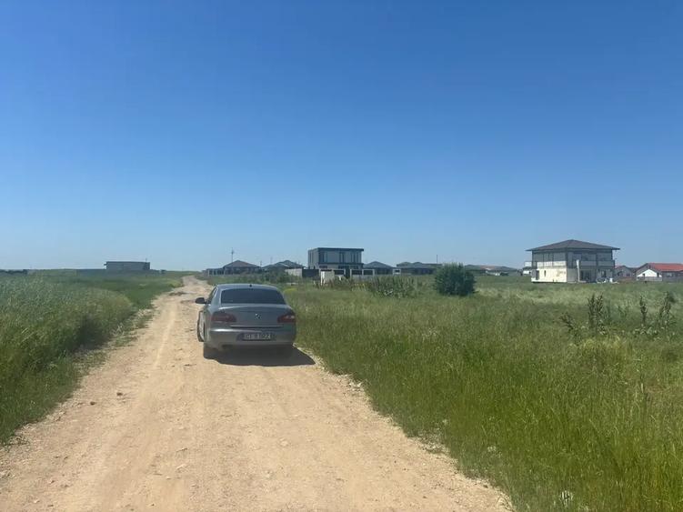 Teren agricol intravilan de 500 mp, în Berceni