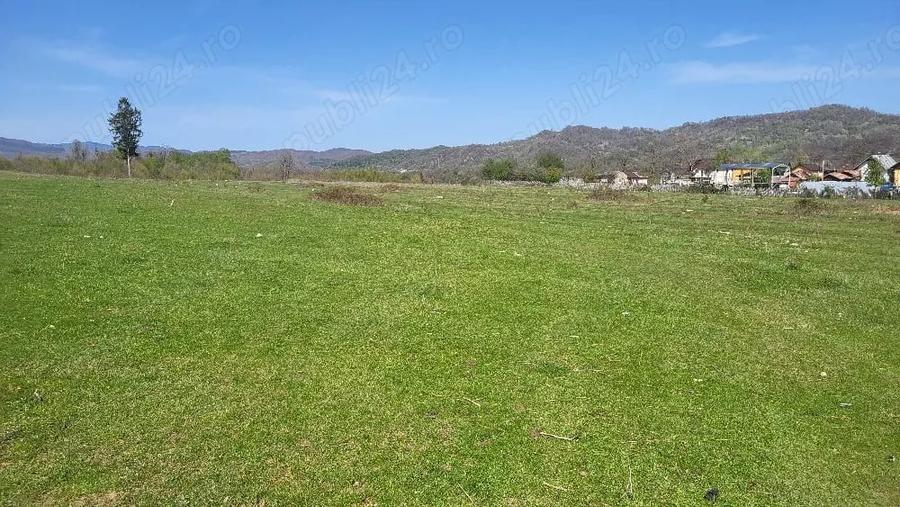 Teren de 7500 mp, în Voila