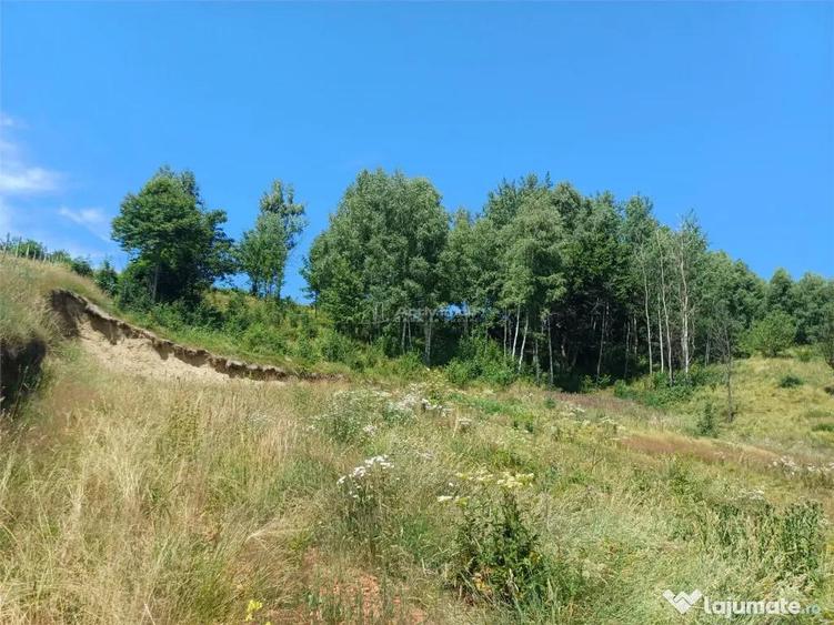 Teren de 4500 mp, în Brebu