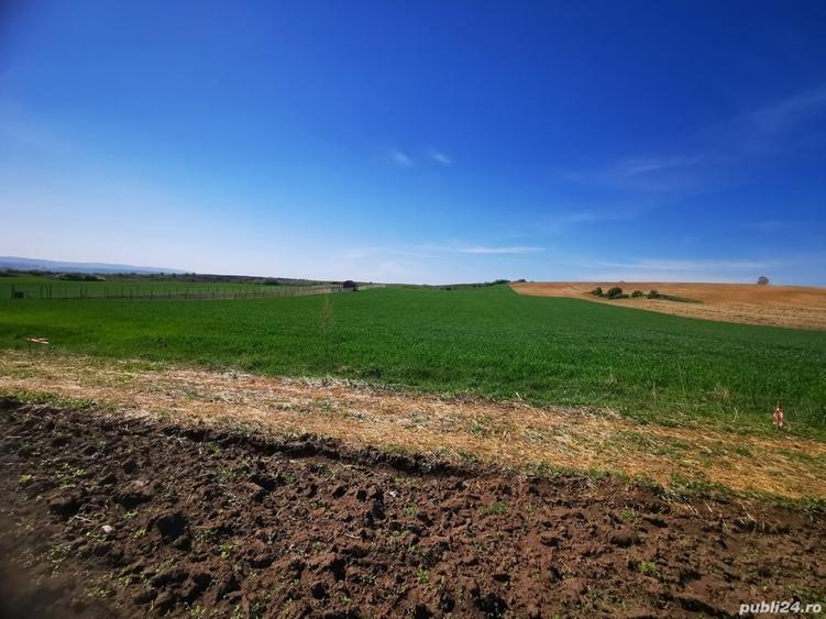 Teren de 2900 mp, în Rediu