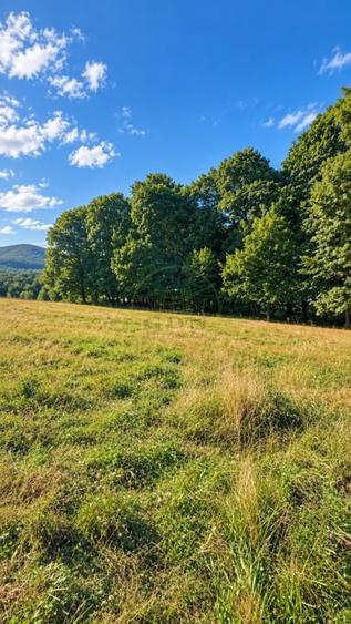 Teren extravilan de 17000 mp, în Prejmer