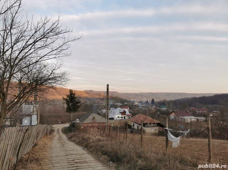 Teren de 6000 mp, în Priboieni