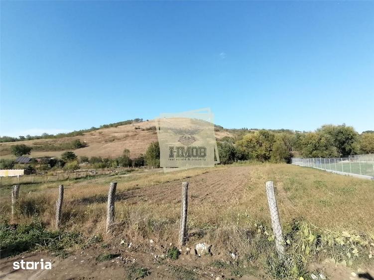 Teren intravilan 3500 mp zona Hamba - 10
