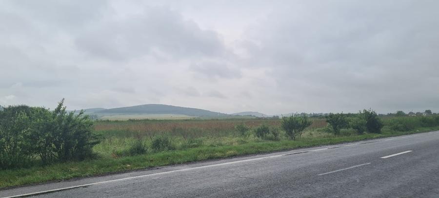 Teren extravilan de 7200 mp, în Gornești
