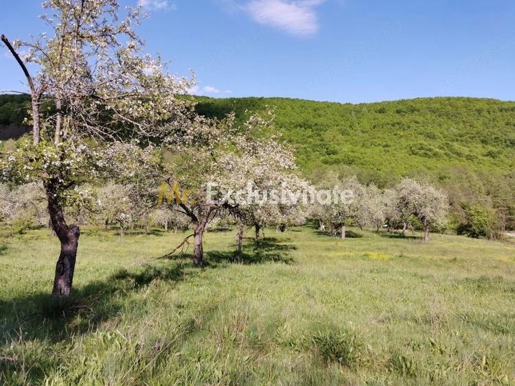 Teren de 680 mp, în Budeasa