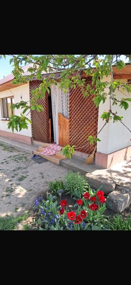 Casă cu 2 camere în Țifești