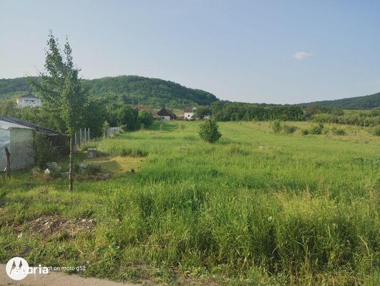 Teren de 4200 mp, în Aghireșu