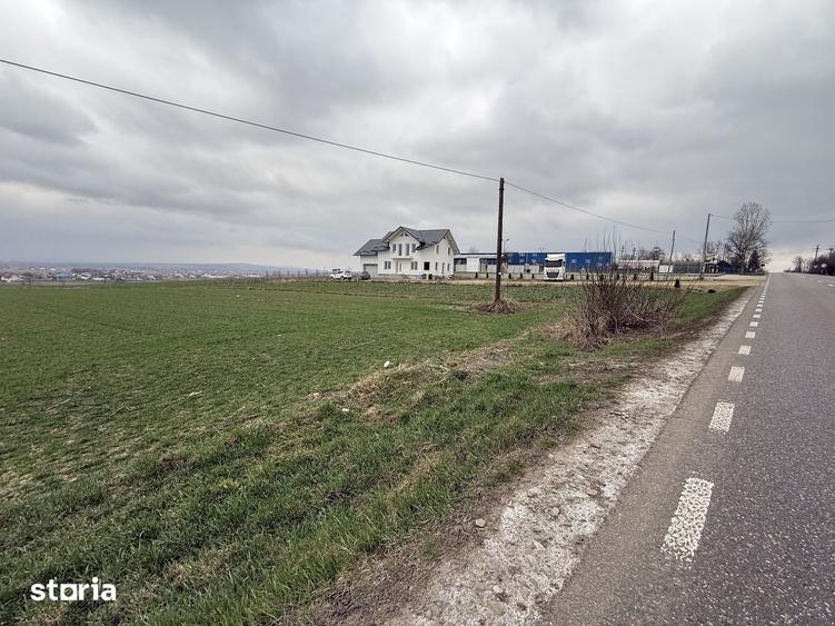 Teren de 3255 mp, în Grănicești