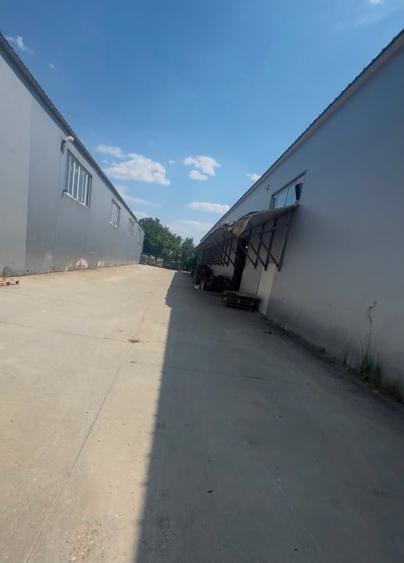 Spațiu industrial, de 774 mp, în Afumați