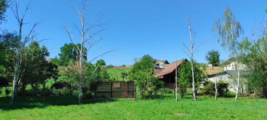 Casa din lemn in Uileacu de Munte - 1