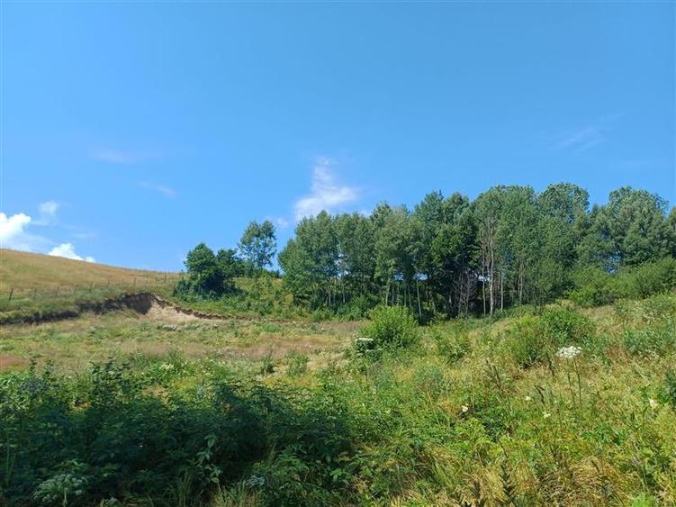 Teren Construcții intravilan de 6889 mp, în Brebu Nou
