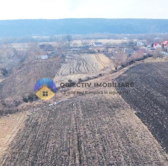 Teren intravilan de 10515 mp, în Bodești
