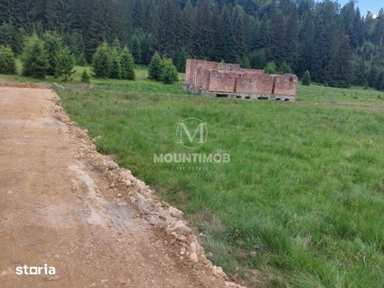 Teren de 4698 mp, în Noua
