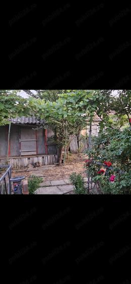 Gospodarie casa si teren - 5