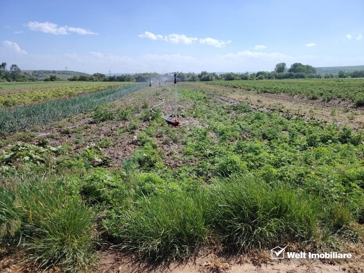 Teren agricol extravilan de 10000 mp, în Jucu de Mijloc
