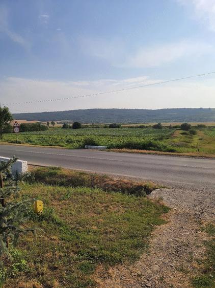 Teren de 5000 mp, în Ștefan cel Mare